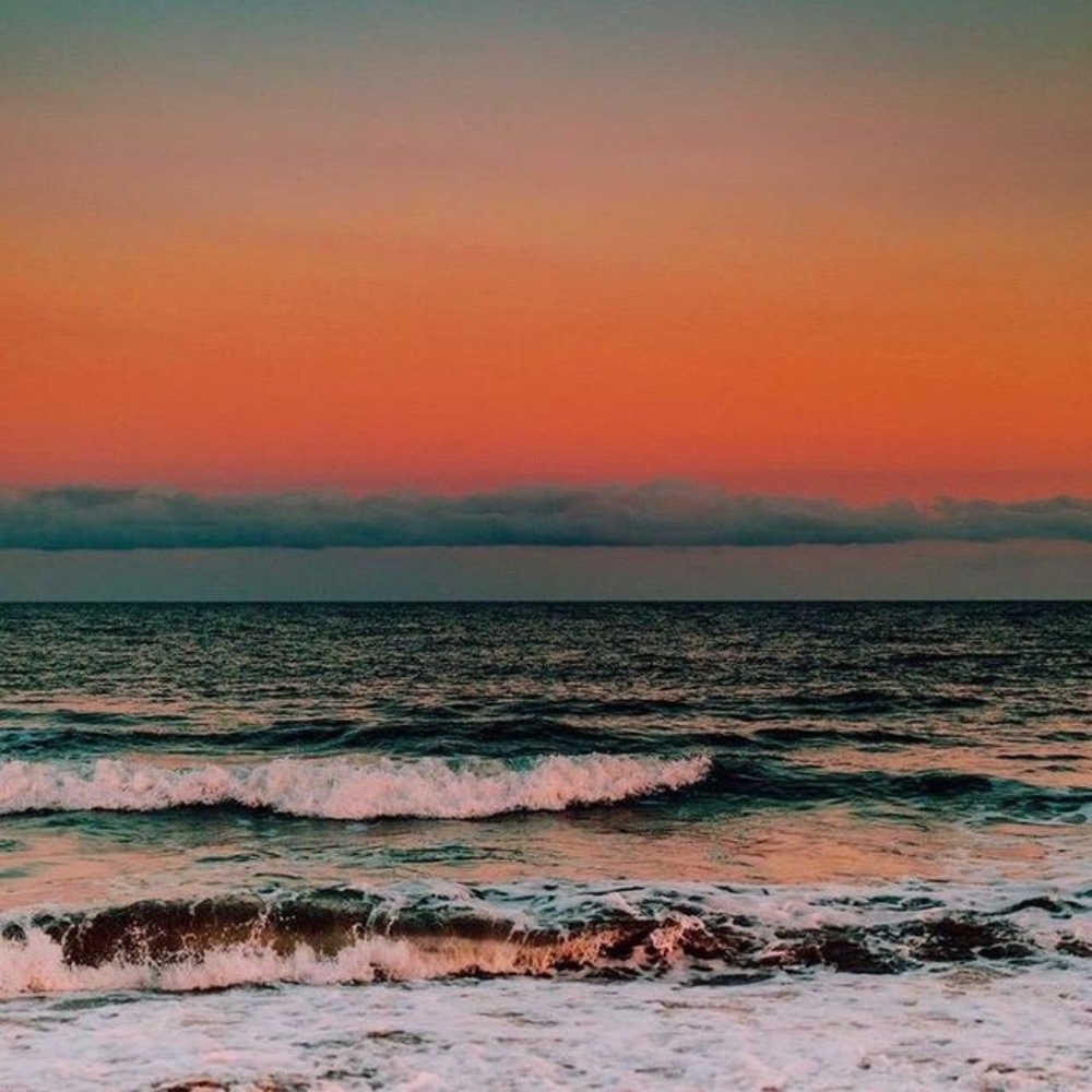 Meet your Posher, Miriam